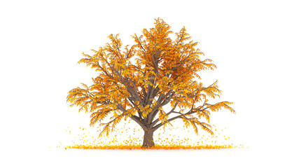 Autumnal element, orange isolated tree on a white background. 3d illustration, 3d rendering.