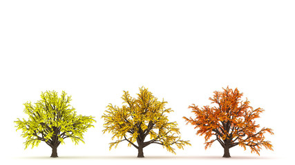 Autumn comes, the tree, the foliage falls. 3d illustration, 3d rendering.