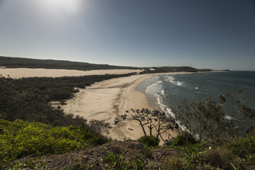 Fraser Island Landscape with car tracks on beach 