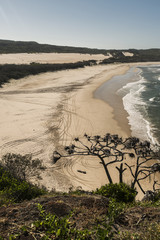 Fraser Island Landscape with car tracks on beach 