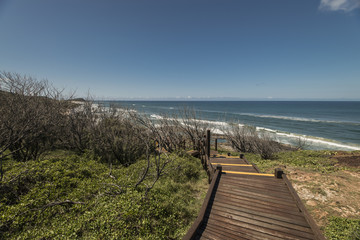 Fototapeta premium Fraser Island Landscape 