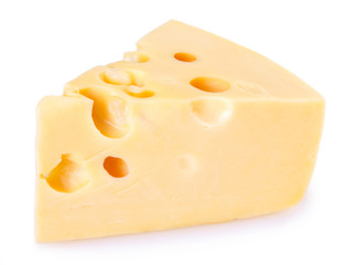 Cheese on white background