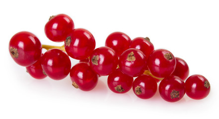 Red currant on white background