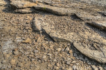 The Devonian Fossil Gorge is located north of Iowa City