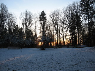 Snowy Sunset