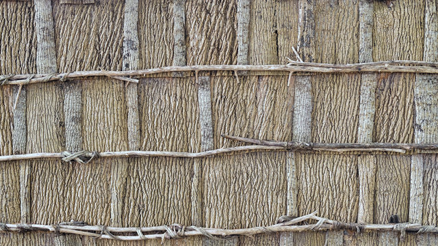 Bark Siding On Native American Long House