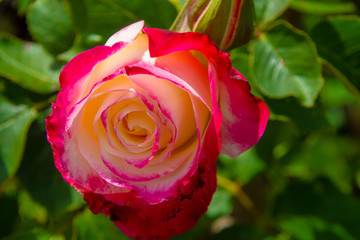 Nature at its finest