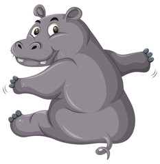 A cute hippopotamus on white background