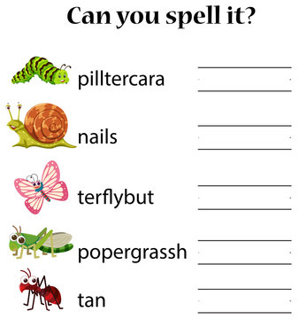 English animal spell worksheet