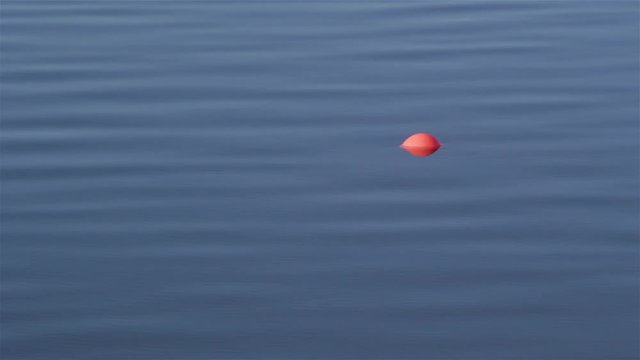 Nautical buoy on calm blue water.