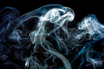 Smoky head of a predator black background