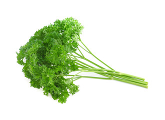 parsley isolated on white background