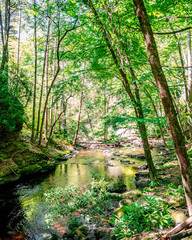 Nature In Pennsylvania