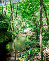 Nature In Pennsylvania