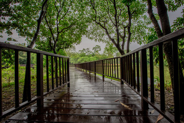Fototapeta na wymiar Background bridge, garden walk, amidst green nature, morning rains and partial water, cool and comfortable.