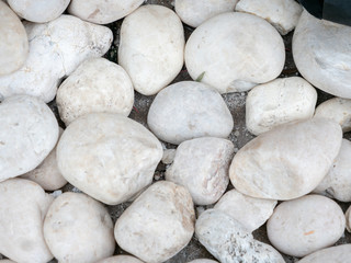 Fototapeta na wymiar White stone on the ground