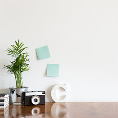 Home office desk with succulent, camera, magazines.