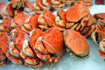 Frozen cooked crab on the ice for sale © nd700