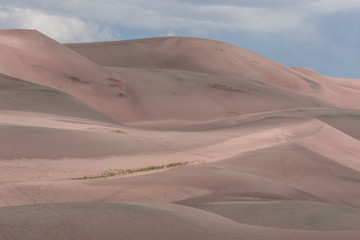 Great Sand Dunes View