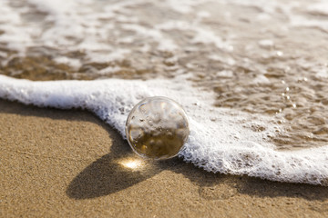 glass ball crystal clear reflecting the sea and beach in the morning