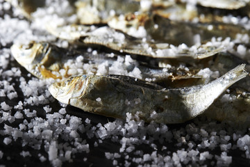 Salted dried fish 