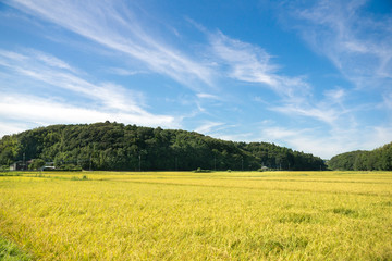 田園風景