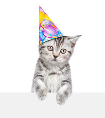 Cat in birthday hat above white banner. isolated on white background
