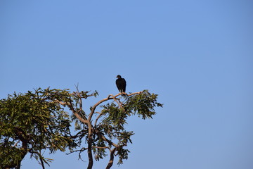 paisagem