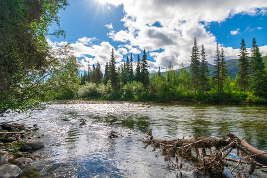 A Nice Place to Rest Along The Cassier Highway