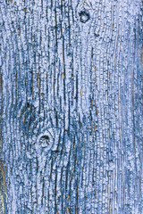 Obraz premium old wooden blue painted surface with faded and cracked paint
