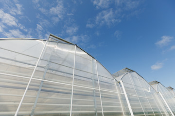 Fototapeta na wymiar Greenhouses against the blue sky