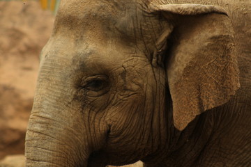 Fototapeta premium LIFE BEHIND A PHOTOGRAPHY