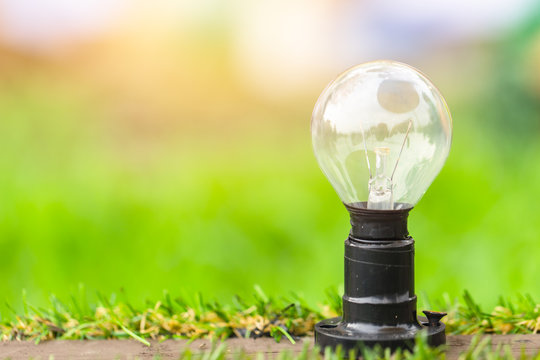 green energy concept light bulb on grass field blur background.