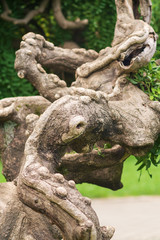 Twisted tropical tree branch