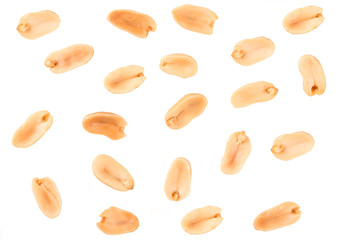 Peanut isolated on white background.