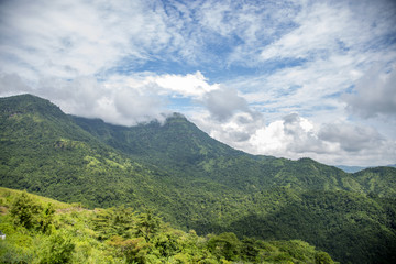 Fototapeta na wymiar Mountain with tree and cloud
