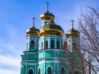 Obraz premium OLYMPUS DIGITAL CAMERA