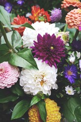 Grußkarte - Blumenstrauß mit Dahlien
