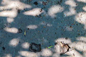 Asphalt texture with gravel on a Sunny day and shadows on it