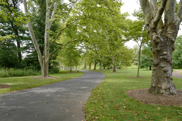 Parks