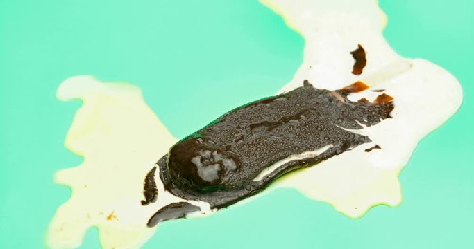 reverse of chocolate outer popsicle melting on green background time lapse