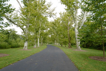 Parks