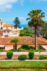 Fototapeta na wymiar tropical botanical gardens in La Orotava town, Tenerife, Canary Islands