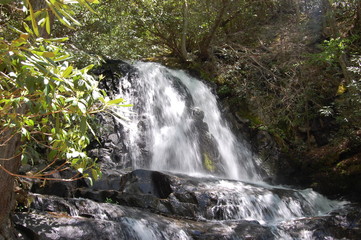 waterfall taken in Tennessee