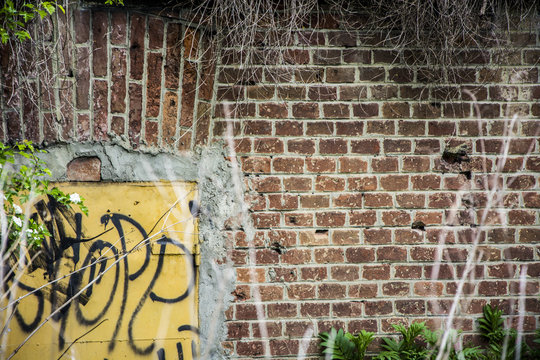 Fototapeta Old wall and graffiti