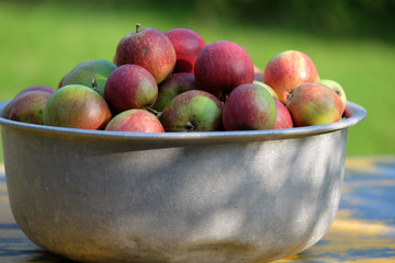 Naturäpfel zur Verarbeitung