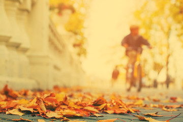 Fallen leaves on sidewalk in city park
