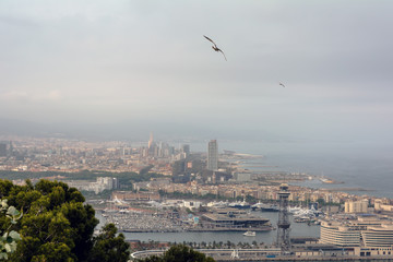 Seagull flying over Barcelona city on Mediterranean sea coast. View on Barcelona seashore from Montjuic hill in cloudy evening in May.