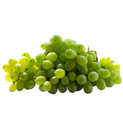 Grapes isolated on  white background.