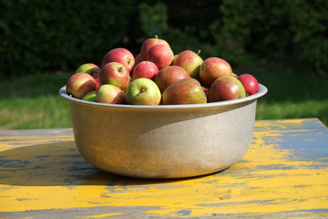 Rote Äpfel in der Schüssel